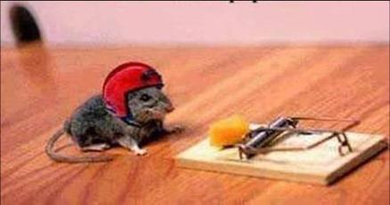 risks_mouse